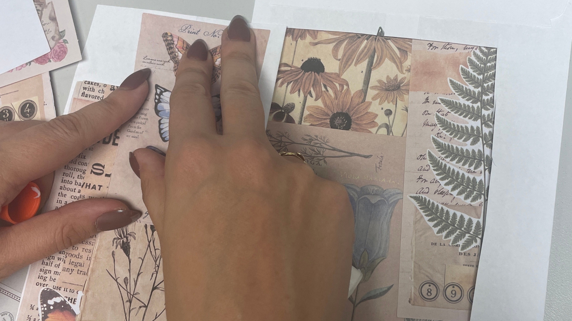 Hands with manicured nails assemble a vintage-style collage of botanical illustrations, butterflies, and aged text on a white surface.