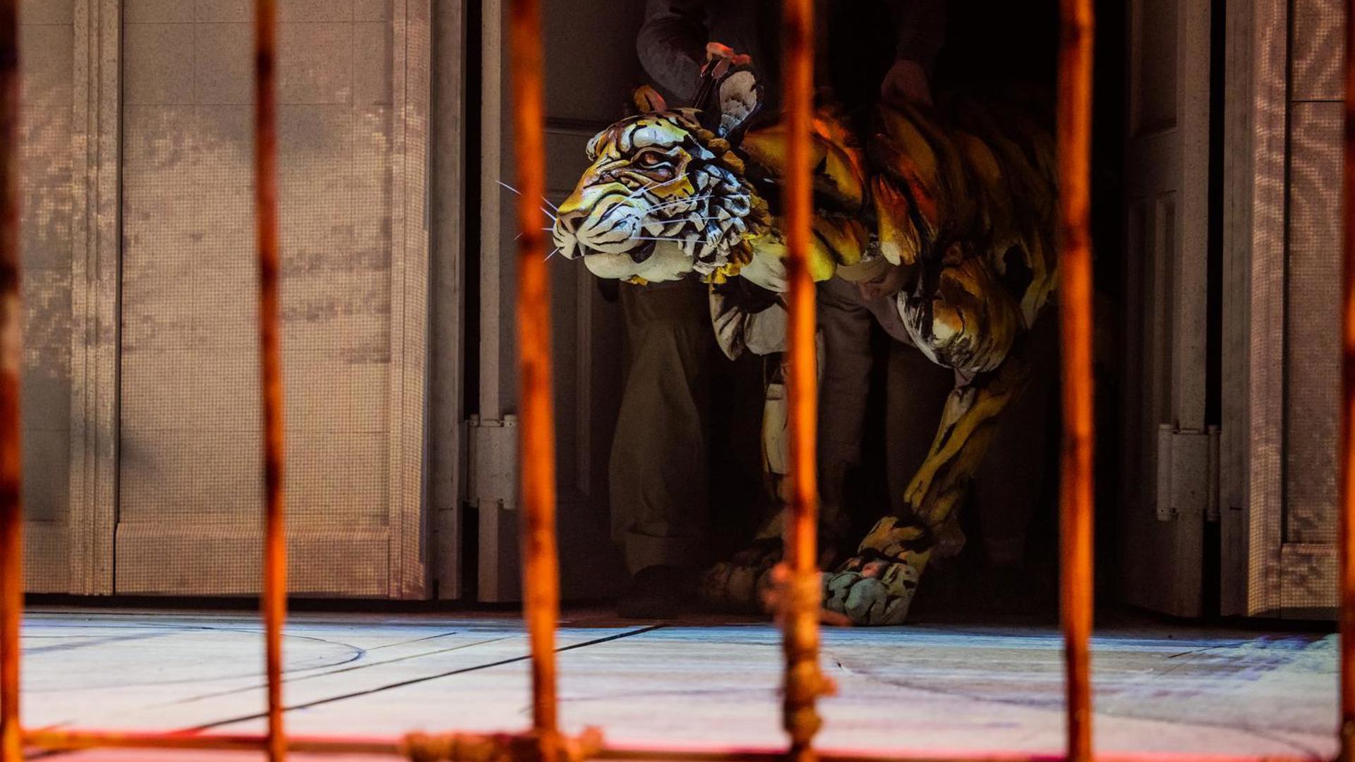 Peering through bamboo bars, a puppet tiger emerges out of a door. 